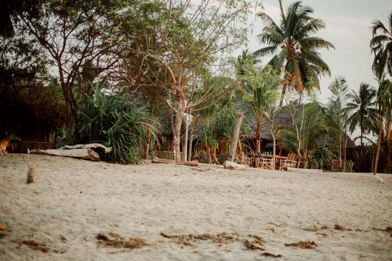 Ushongo Beach Bandas Pangani Luaran gambar