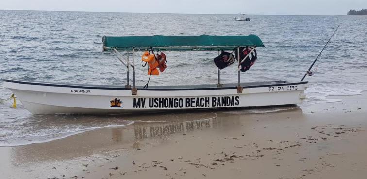 Ushongo Beach Bandas Pangani Luaran gambar